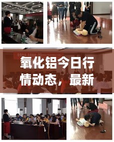 氧化铝今日行情动态，最新消息速递