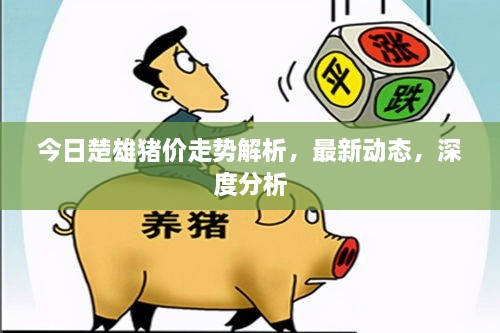 今日楚雄猪价走势解析，最新动态，深度分析