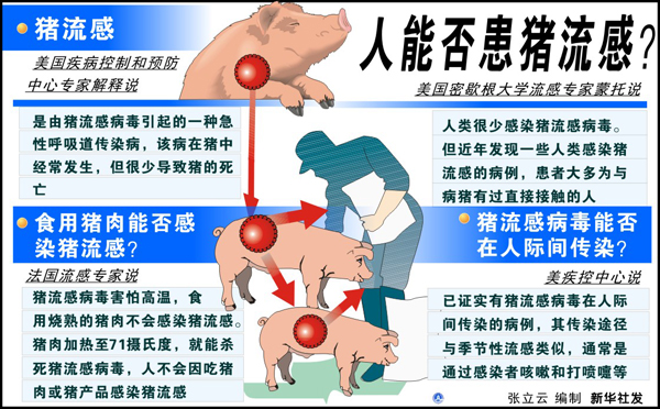 全国最新猪流感,猪流感概述