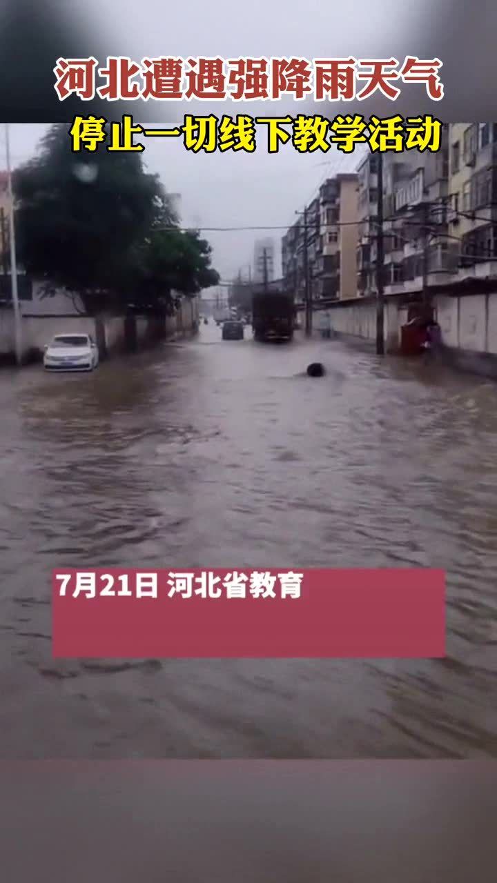 新疆下大雨最新,新疆遭遇强降雨天气，最新动态分析