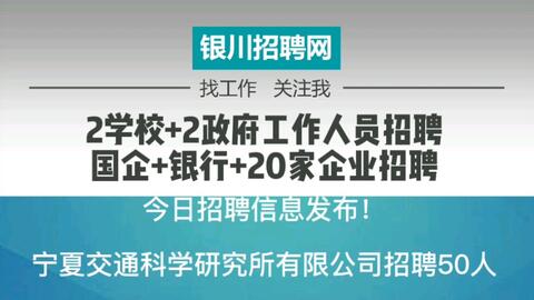 金正阳最新招聘信息发布