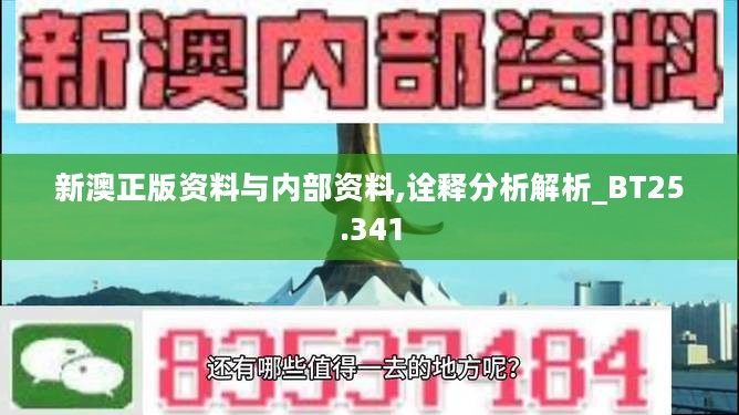 新澳正版资料与内部资料,诠释分析解析_BT25.341