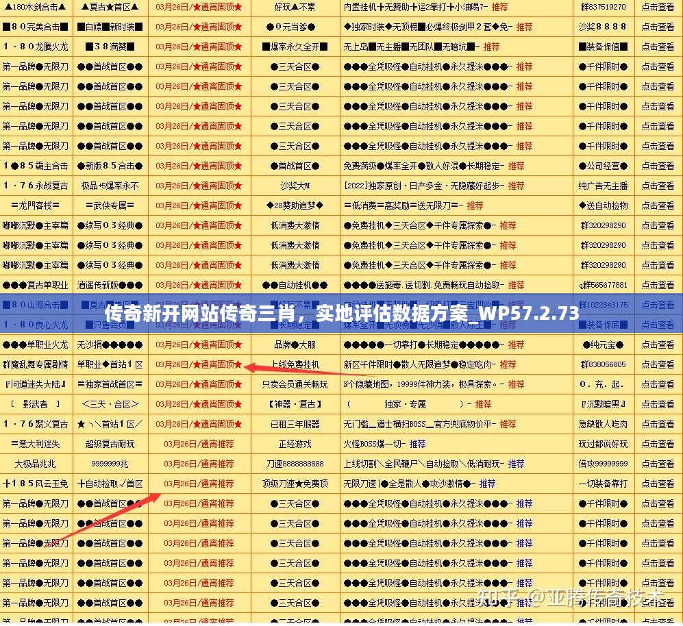 传奇新开网站传奇三肖，实地评估数据方案_WP57.2.73