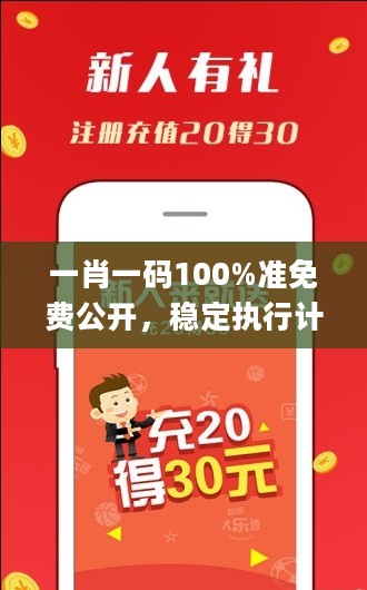 一肖一码100%准免费公开，稳定执行计划_app56.43.96