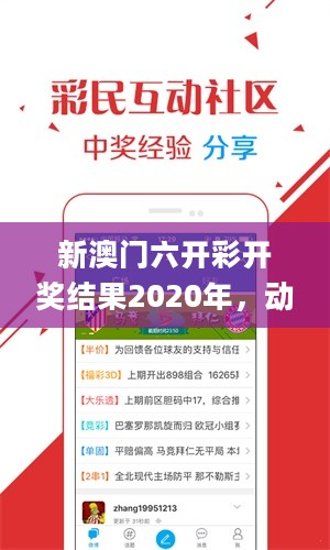 新澳门六开彩开奖结果2020年，动态词语解释定义_V版12.86.93