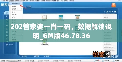 202管家婆一肖一码，数据解读说明_GM版46.78.36