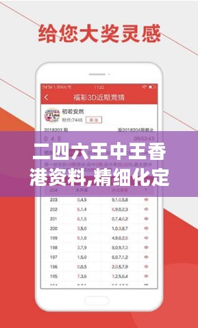 二四六王中王香港资料,精细化定义探讨_旗舰版60.740