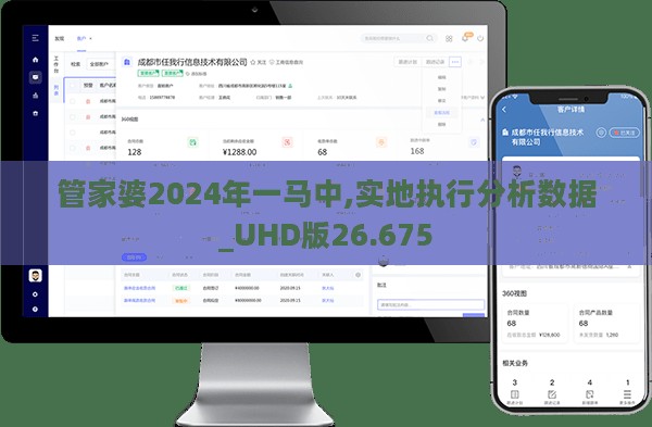 管家婆2024年一马中,实地执行分析数据_UHD版26.675