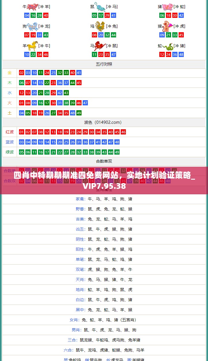 四肖中特期期期准四免费网站，实地计划验证策略_VIP7.95.38