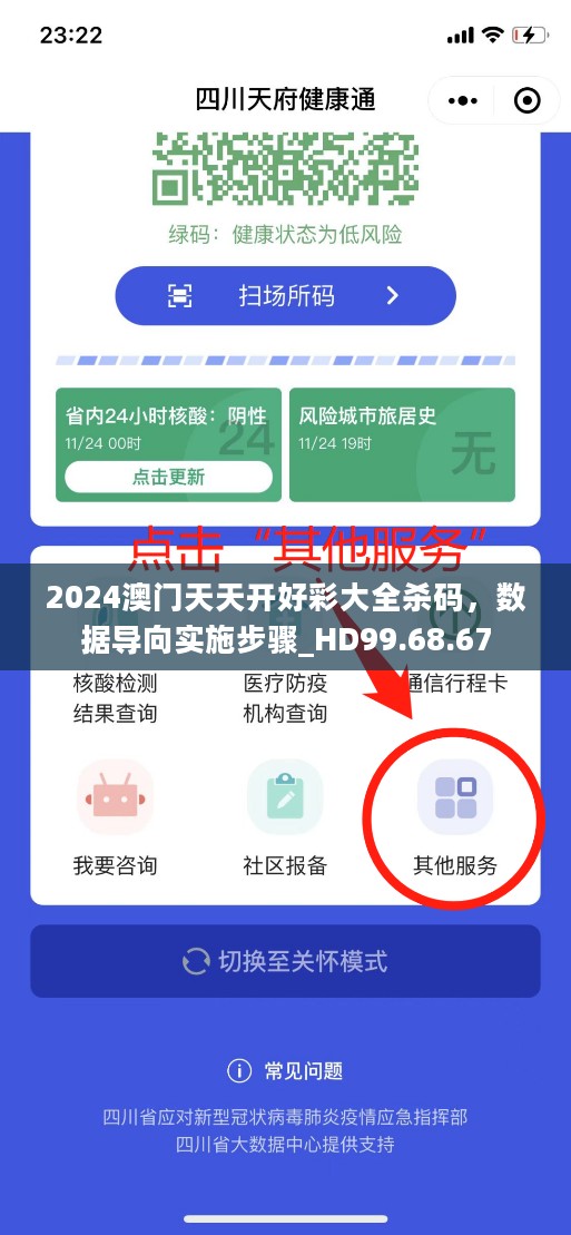 2024澳门天天开好彩大全杀码，数据导向实施步骤_HD99.68.67
