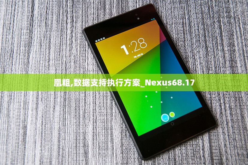 凰粗,数据支持执行方案_Nexus68.17