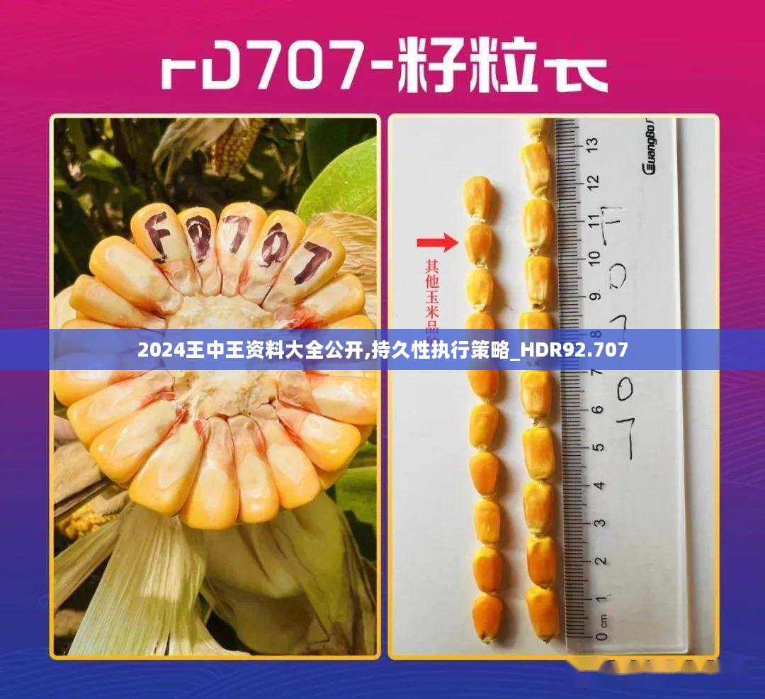 2024王中王资料大全公开,持久性执行策略_HDR92.707