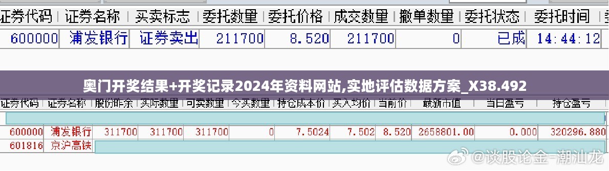 奥门开奖结果+开奖记录2024年资料网站,实地评估数据方案_X38.492