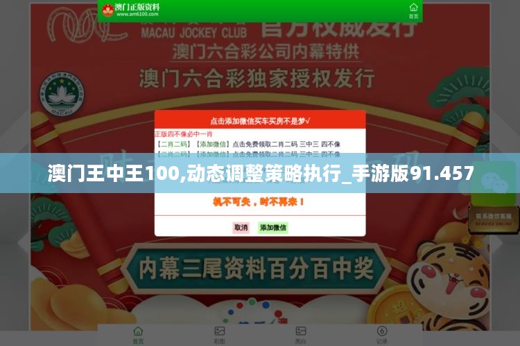 澳门王中王100,动态调整策略执行_手游版91.457