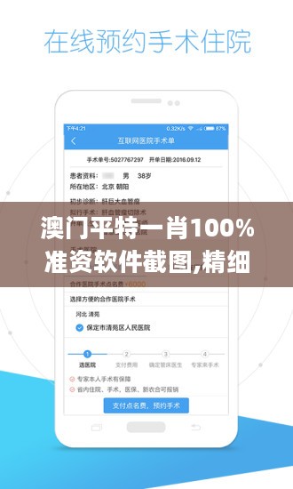 澳门平特一肖100%准资软件截图,精细解读解析_Surface36.247