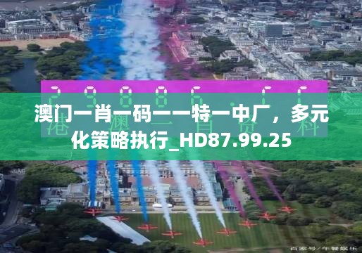 澳门一肖一码一一特一中厂，多元化策略执行_HD87.99.25