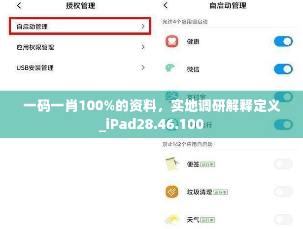 一码一肖100%的资料，实地调研解释定义_iPad28.46.100