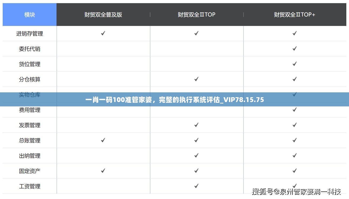 一肖一码100准管家婆，完整的执行系统评估_VIP78.15.75