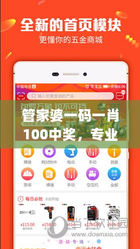 管家婆一码一肖100中奖，专业执行问题_app96.69.86