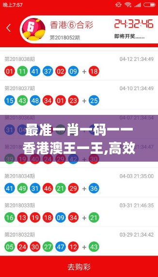 最准一肖一码一一香港澳王一王,高效推进解答解释措施_TP9.11