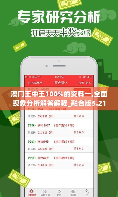 澳门王中王100%的资料一,全面现象分析解答解释_融合版5.219