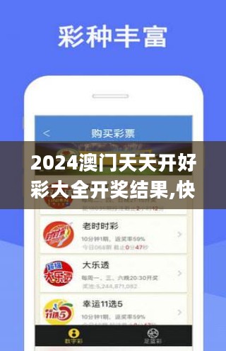 2024澳门天天开好彩大全开奖结果,快速设计问题策略_高清版2.914