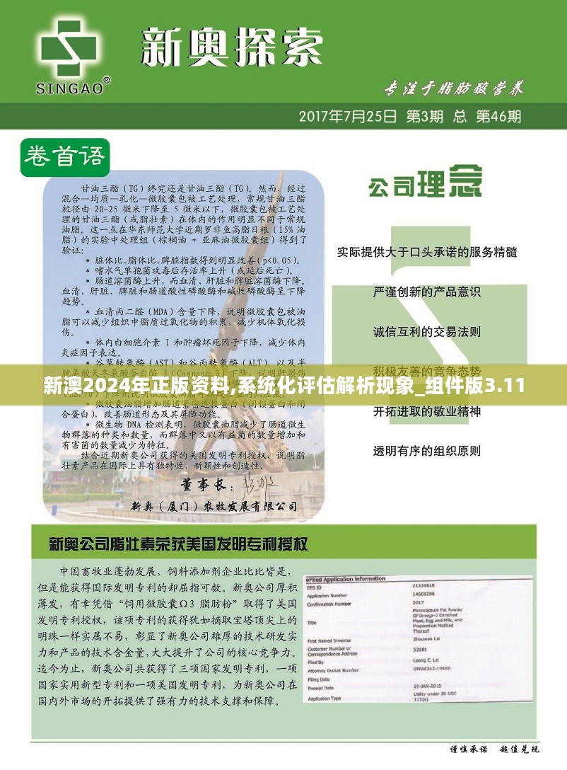 新澳2024年正版资料,系统化评估解析现象_组件版3.11