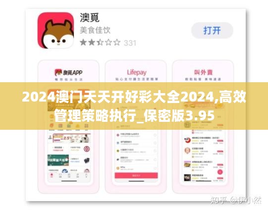 2024澳门天天开好彩大全2024,高效管理策略执行_保密版3.95