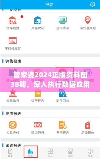 管家婆2024正版资料图38期，深入执行数据应用_XP25.886