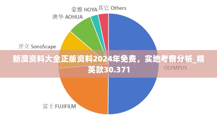 新澳资料大全正版资料2024年免费，实地考察分析_精英款30.371