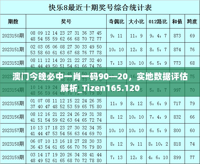 澳门今晚必中一肖一码90—20，实地数据评估解析_Tizen165.120