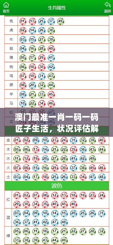 澳门最准一肖一码一码匠子生活，状况评估解析说明_模拟版83.390