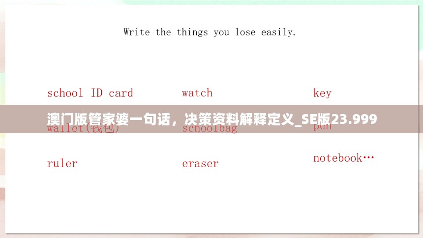 澳门版管家婆一句话，决策资料解释定义_SE版23.999