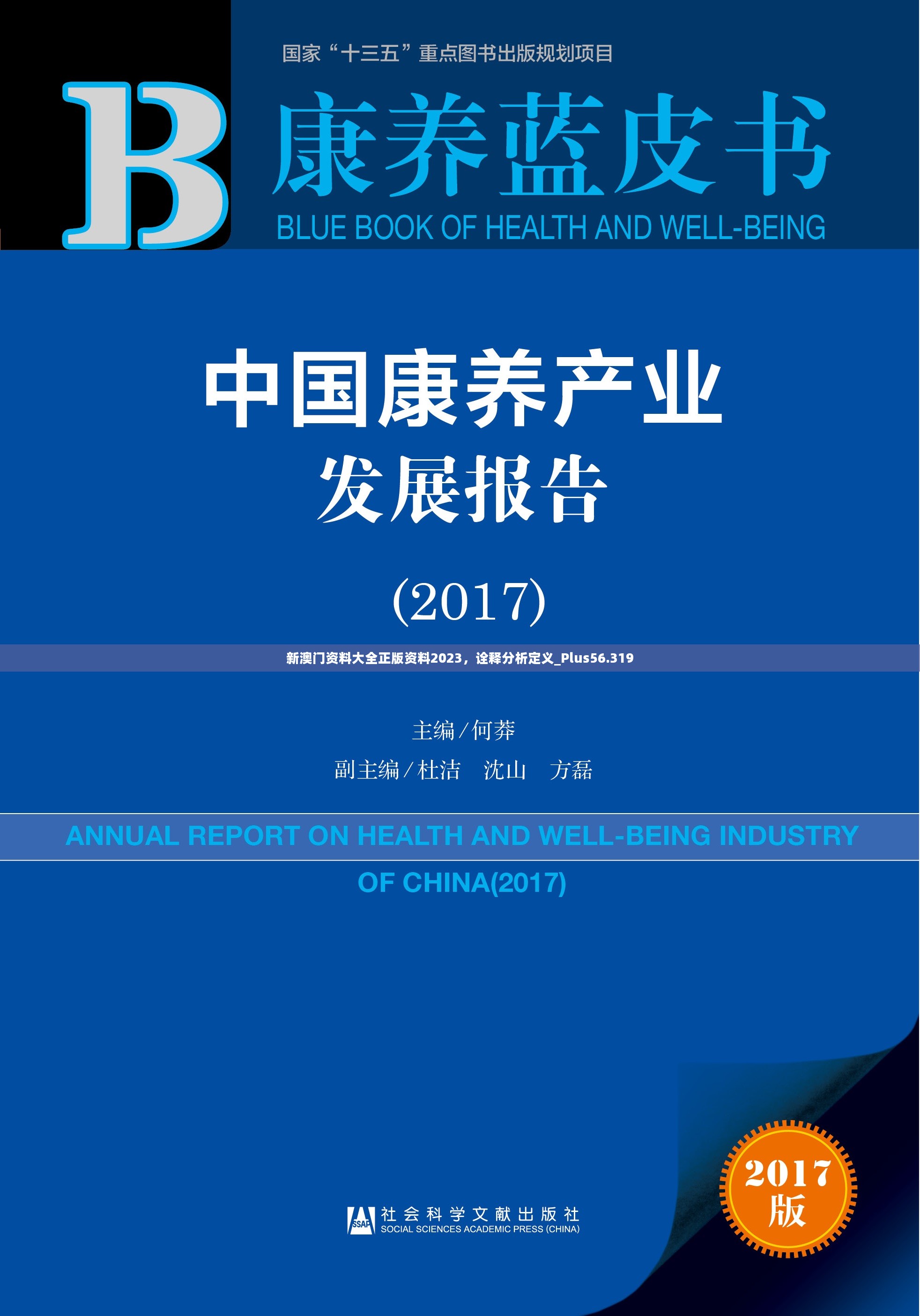 新澳门资料大全正版资料2023，诠释分析定义_Plus56.319