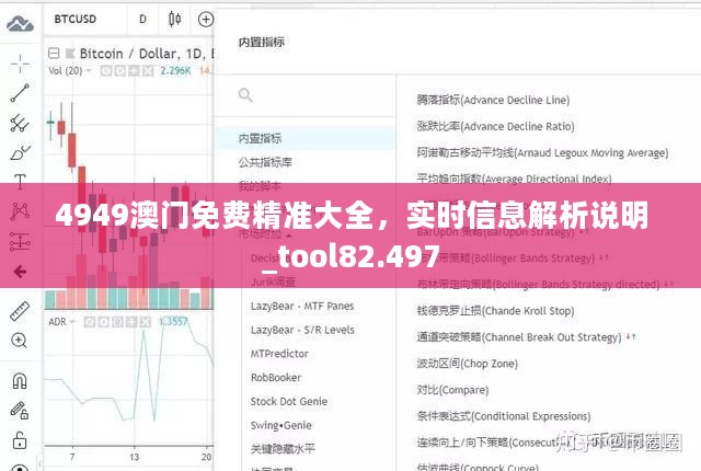 4949澳门免费精准大全，实时信息解析说明_tool82.497