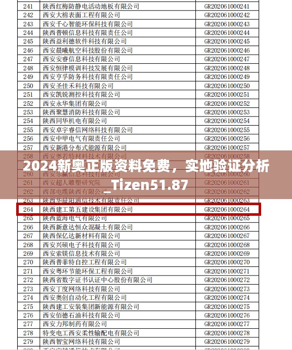 2024新奥正版资料免费，实地验证分析_Tizen51.87