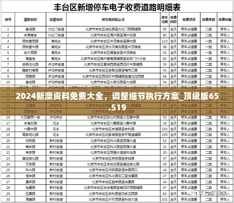 2024新澳资料免费大全，调整细节执行方案_顶级版65.519