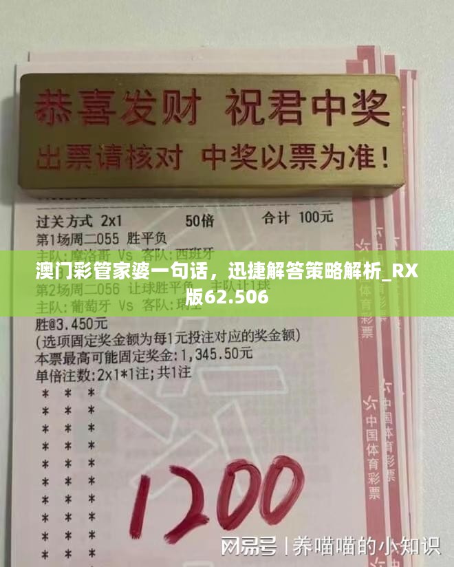 澳门彩管家婆一句话，迅捷解答策略解析_RX版62.506