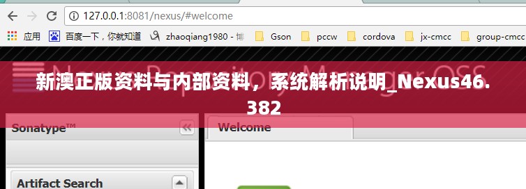 新澳正版资料与内部资料，系统解析说明_Nexus46.382