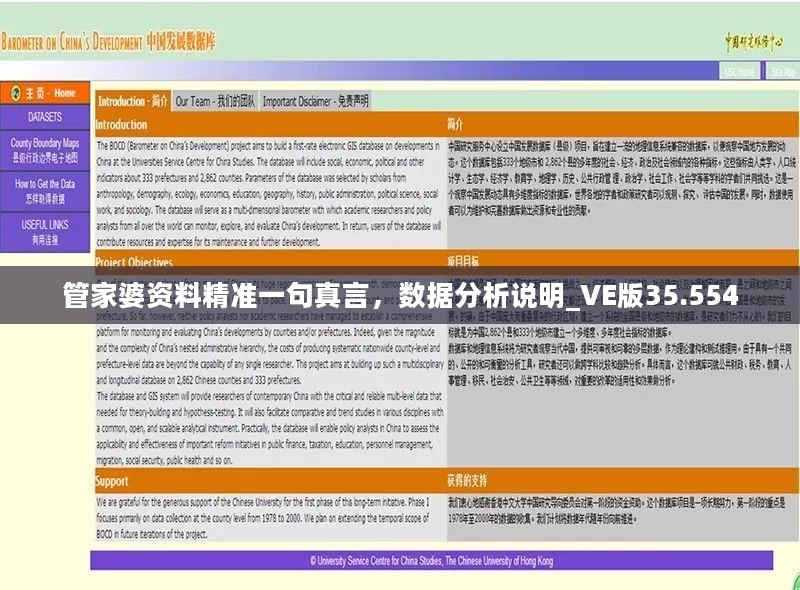 管家婆资料精准一句真言，数据分析说明_VE版35.554