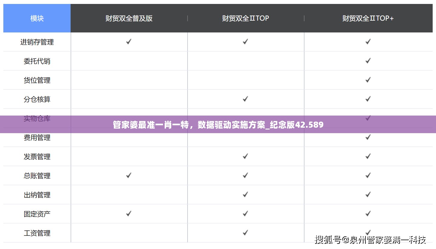 管家婆最准一肖一特，数据驱动实施方案_纪念版42.589