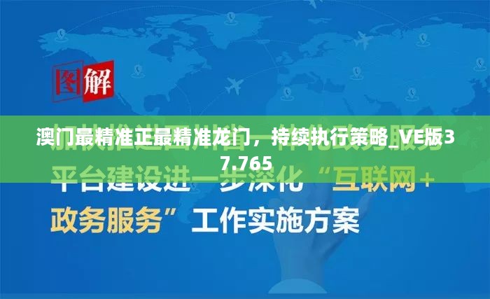 澳门最精准正最精准龙门，持续执行策略_VE版37.765