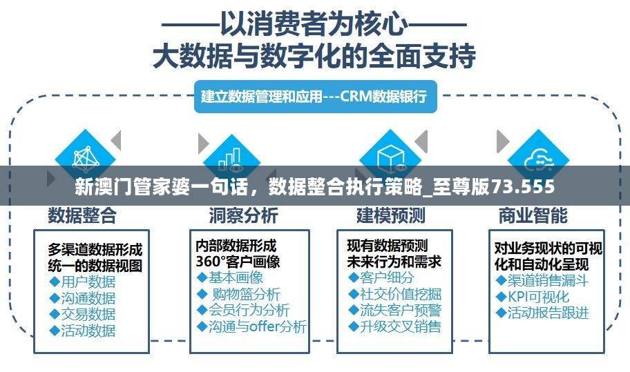 新澳门管家婆一句话，数据整合执行策略_至尊版73.555