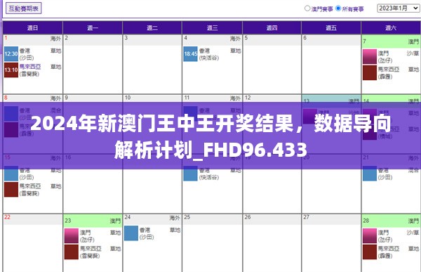 2024年新澳门王中王开奖结果，数据导向解析计划_FHD96.433