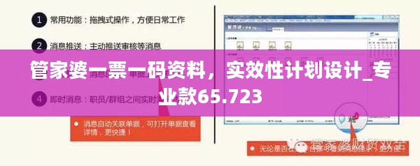 管家婆一票一码资料，实效性计划设计_专业款65.723