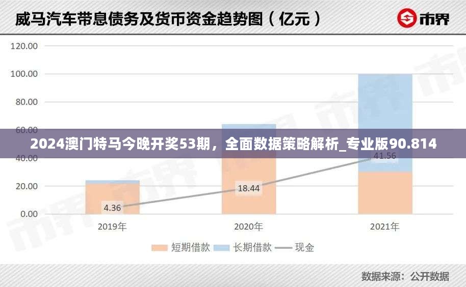 2024澳门特马今晚开奖53期，全面数据策略解析_专业版90.814