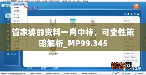 管家婆的资料一肖中特，可靠性策略解析_MP99.345