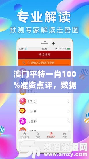 澳门平特一肖100%准资点评，数据计划引导执行_yShop65.615