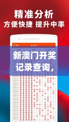 新澳门开奖记录查询，整体规划执行讲解_免费版60.655