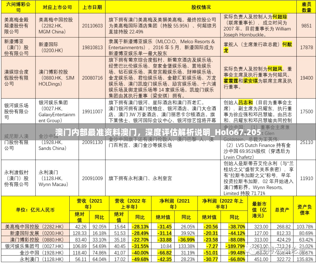 澳门内部最准资料澳门，深度评估解析说明_Holo67.205